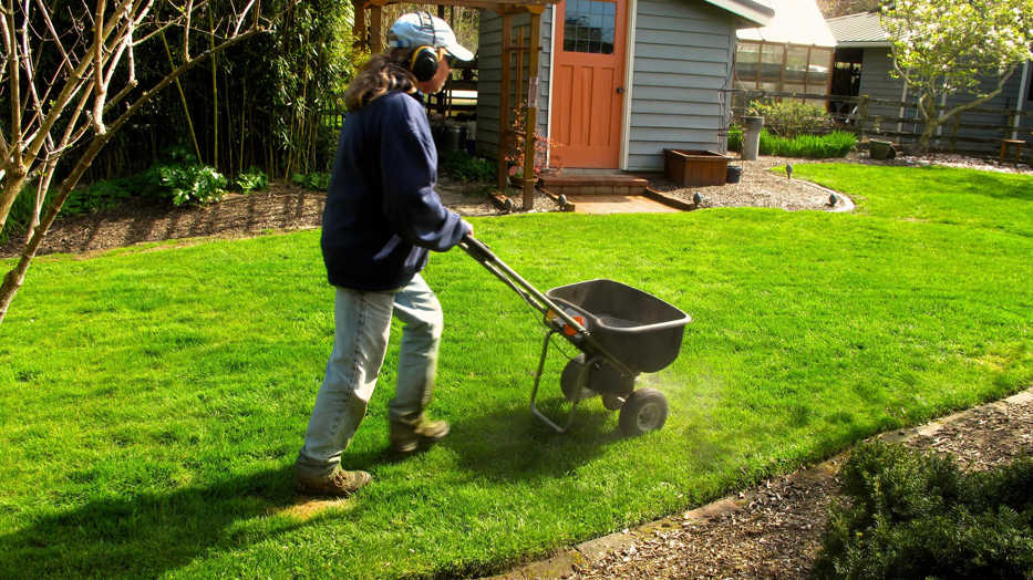 In this March 30, 2015 photo, a lawn is fertilized before rain falls near Langley, Wash. One of the most common mistakes in lawn care is over fertilizing which can burn the plant roots and contaminate area water supplies. A good time to fertilize is just ahead of a soaking rain. (Dean Fosdick via AP)