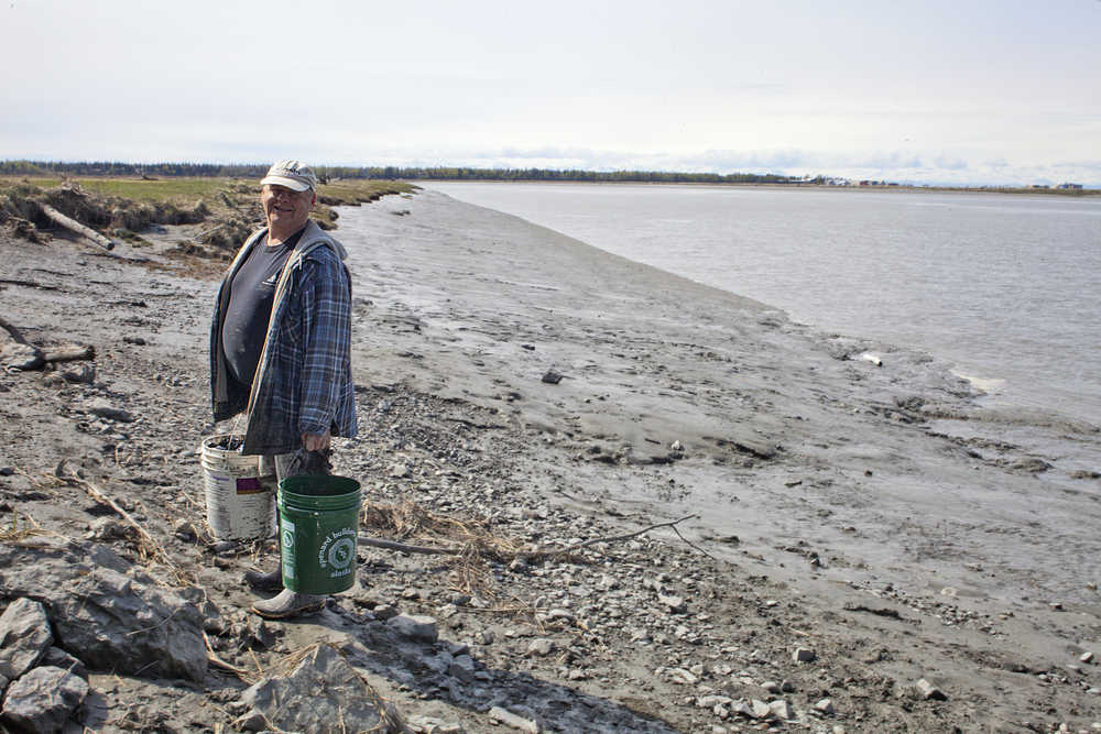 Photo by Rashah McChesney/Peninsula Clarion  Charlie Smith, of Anchor Point, hauls two buckets of hooligan up the bank on Monday May 18, 2015 near the Warren Ames Bridge in Kenai, Alaska.