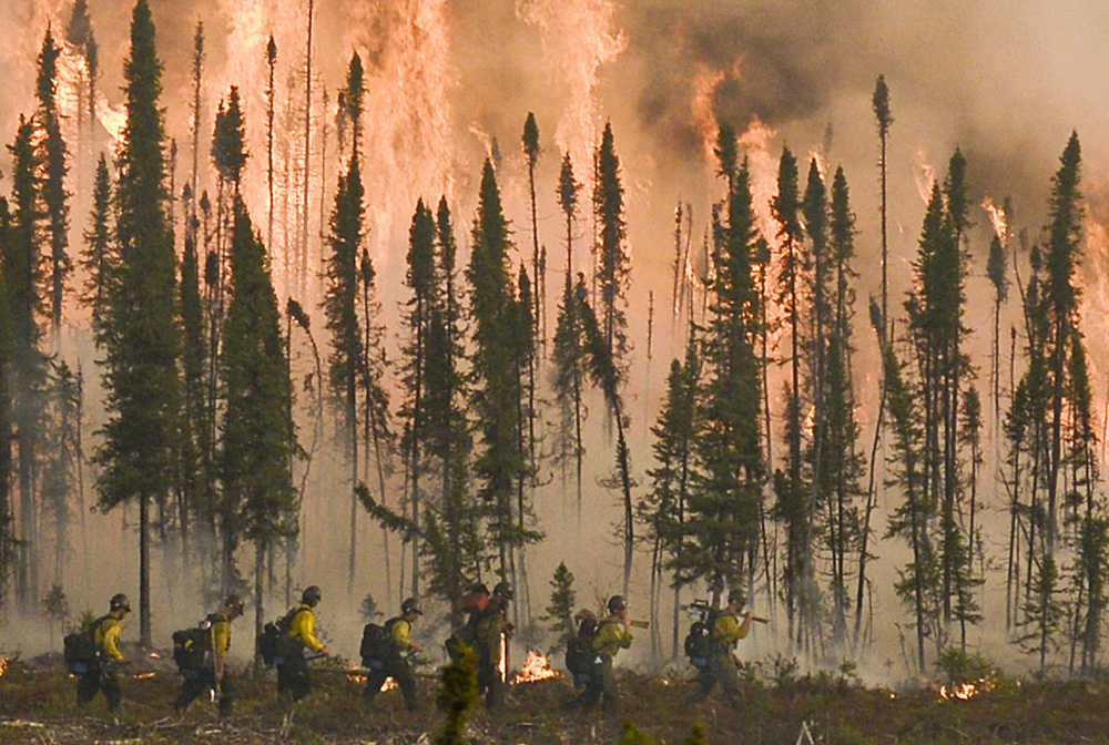 Photo by Rashah McChesney/Peninsula Clarion   In this May 24, 2014 file photo, a team of firefighters walk along a fire break near Brown's Lake in the Funny River community of Alaska. Firefighters are urging caution citing hot and dry conditions that could lead to another wildland fire during the 2015 season.