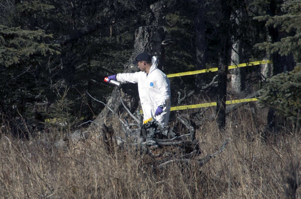(AP Photo/Peninsula Clarion, Rashah McChesney) An investigator marks a stump within a parameter set up on Sunday March 22, 2015 between Borgen Avenue and Alpine Drive where Kenai Police have what they believe to be the remains of a family who have been missing from their Kenai, Alaska home for more than 10 months. The remains were found fewer than 2 miles from the family's home.