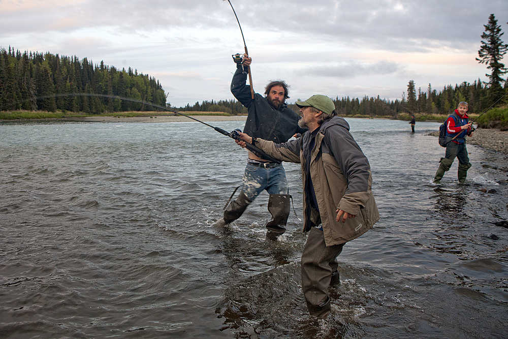 Photo by Rashah McChesney/Peninsula Clarion  Mike Matheny, of Kasilof, tries to see his fish as Matt Buta, of Soldotna, runs around him to keep a hold of his own as the two fished the Kasilof River on Tuesday June 2, 2015.