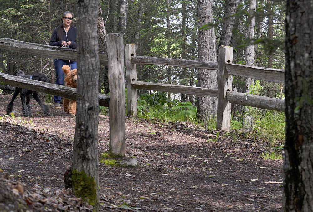 Photo by Rashah McChesney/Peninsula Clarion Charlene Daniels walks her poodles Macy and Rohan at Soldotna Creek Park on Wednesday June 10, 2015 in Soldotna, Alaska.