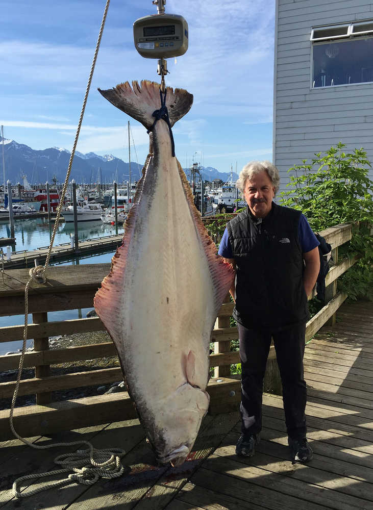Angler Karl Paulsen from Wyoming poses with his 234.2-pound halibut he caught fishing near Seward on Sunday. His catch puts him in the top spot in the Seward Halibut Derby. (Submitted photo)