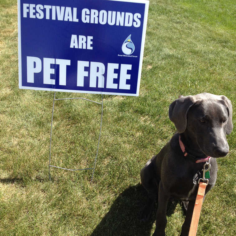 Happy, Jan Bobek's newly adopted Kenai shelter puppy is not happy.  He wanted to meet other dogs at the fair. (Submitted photo)