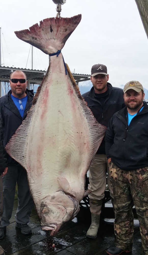 Rickey Scott, Bradden Scott and fishing buddy Clayton Hindman pose with the barn door halibut which weighed in at 265.6 pounds. The fish was caught on June 20 and was in first place in the $10,000 Seward Halibut Derby until an angler from Michigan landed a 291.2-pound halibut.
