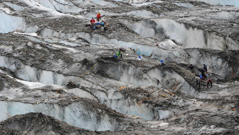 Searchers are nestled between crevasses on the surface of Colony Glacier in Alaska on Wednesday, June 10, 2015. For the fourth consecutive summer, a team of military members and scientists are combing the surface of Colony Glacier looking for remains and personal effects that can be used to identify the 52 people who perished when a U.S. Air Force Douglas C-124 Globemaster II crashed into Mount Gannett, about 15 miles away, while flying in severe weather in 1952. (Bill Roth/Alaska Dispatch News via AP)