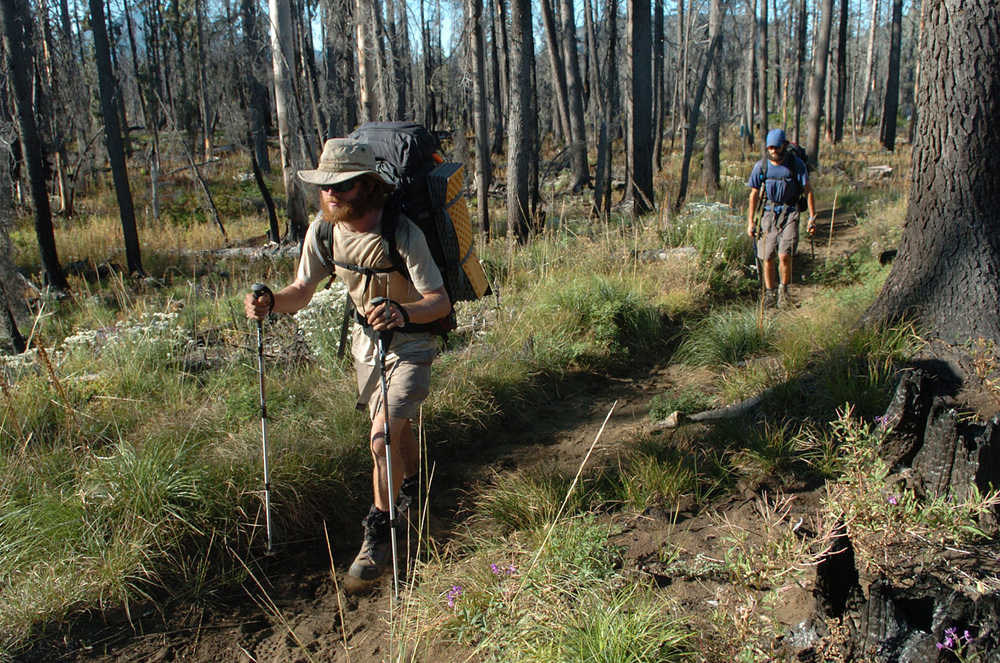 File--In this Aug. 30, 2007, file photo, Andrew Schurr leads Cal Seabaugh up the Pacific Crest Trail near Santiam Pass, Ore., in the Oregon Cascades.   For the first time, the U.S. Forest Service has restricted, to 50 per day,  the number of "thru-hikers" embarking from the trail's southernmost point in Campo, Calif. (David Patton/Albany Democrat Herald via AP, file) MANDATORY CREDIT