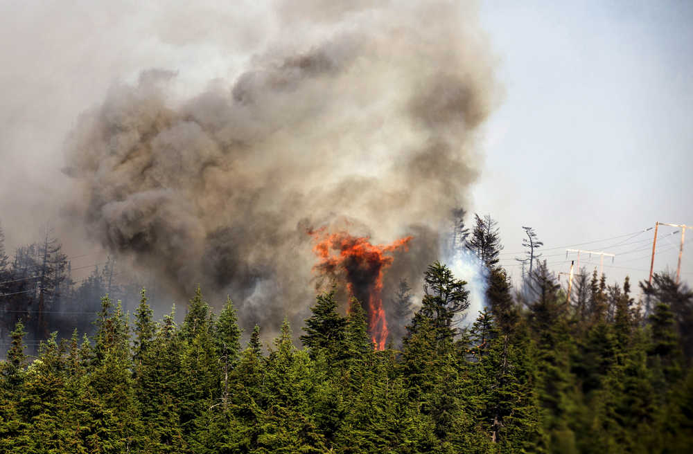 In this June 17, 2015 photo from the Alaska Army National Guard, trees erupt in flames in the Stetson Creek Fire near Cooper Landing, Alaska. Crews have wrangled two large wildfires north and south of Anchorage as dozens of blazes burn over 100 square miles in Alaska. One fire forced the evacuation of campsites on the Kenai Peninsula and destroyed at least eight structures since Monday. (Sgt. Balinda O'Neal/U.S. Army National Guard via AP)