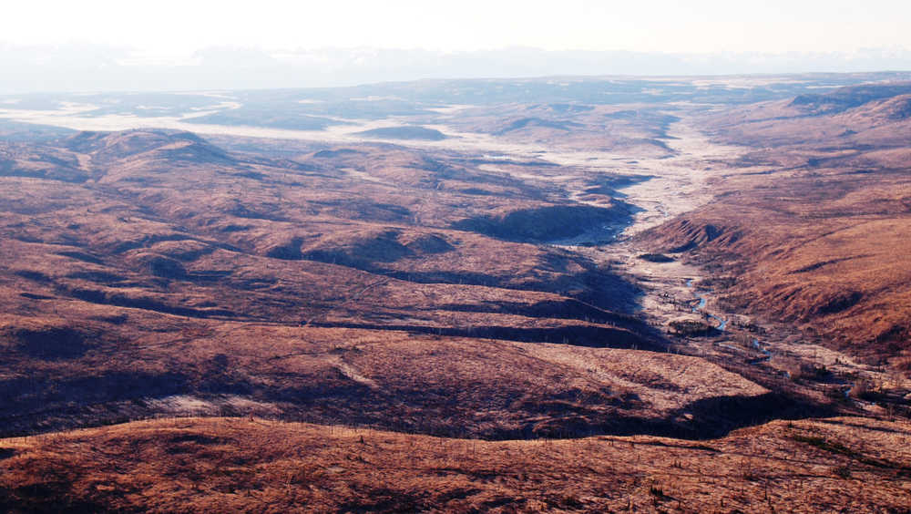 Once spruce-covered hills in the Deep Creek watershed on the Kenai Peninsula were converted to extensive bluejoint grasslands in the aftermath of a spruce bark beetle outbreak and the 2007 Caribou Hills Fire.  (Photo courtesy Kenai National Wildlife Refuge)