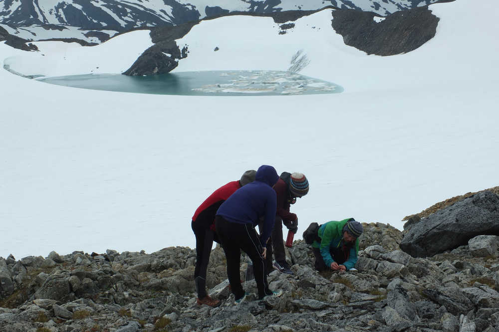 Students Ella Keenan, Laurel Rand-Lewis and Eric Van Dam listen as Polly Bass, kneeling, introduces them to a variety of alpine flora. (Photo by Mary Catharine Martin/Juneau Empire)