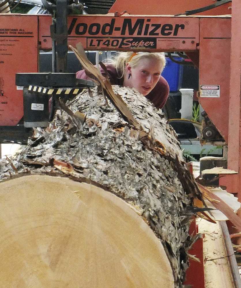 In this May 29, 2015 photo, Kelsey Kennedy works a lumber mill in Corner Bay, Alaska. Gordon Chew of Tenakee Logging Company Management moved his family to Alaska In 2002, they bought a lumber mill from a fellow Tenakee resident; they had a one-ton wrecker they used to drag trees into place. They were awarded their first contract by the U.S. Forest Service in 2007. Now, the Chews have two lumber mills and have gradually accumulated the heavy equipment that helps in the lumber trade. (Mary Catharine Martin/ Capital City Weekly via AP)