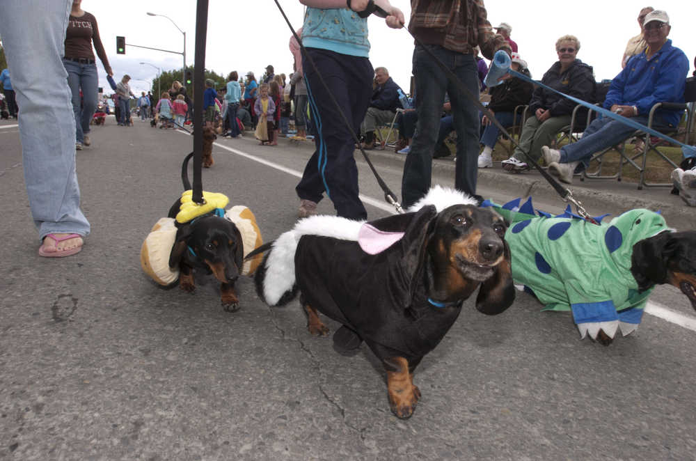 Clarion file photo In This July 25, 2009 file photo Furry participants in the "Weenies On Parade" entry waddle at double time speed down Binkley Street in Soldotna on Saturday during the Progress Days parade.