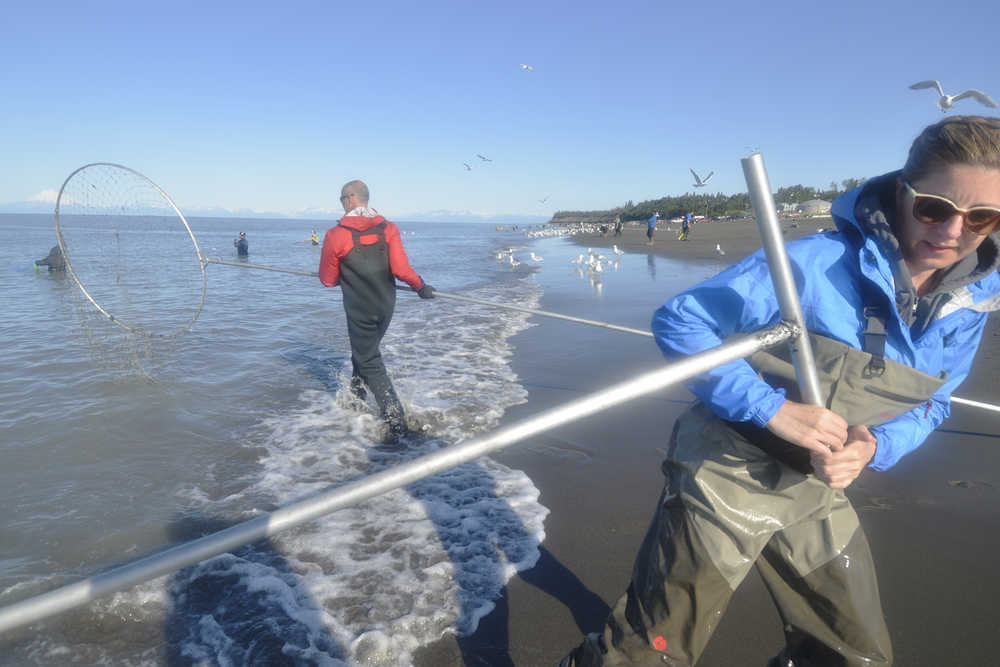 Ben Boettger/Peninsula Clarion Jill Brown (foreground) hauls in a fish while John Collins (background) returns to the water of Kenai's north beach on Sunday, July 19.
