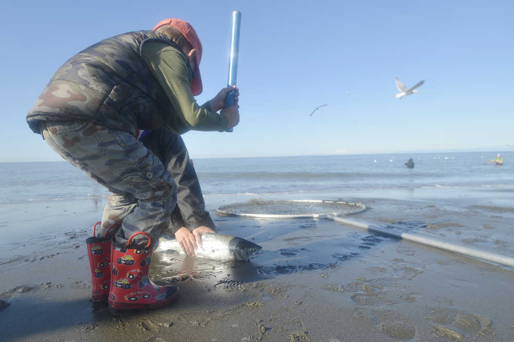 Ben Boettger/Peninsula Clarion Five-year-old Blake Coulson prepares to hit a fish caught by Chelsee Largo at Kenai's north beach on Sunday, July 19.
