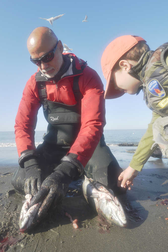 Ben Boettger/Peninsula Clarion John Collins (left) guts a pair of salmon while his step-grandson Blake Coulson (right) watches at Kenai's north beach on Sunday, July 19.