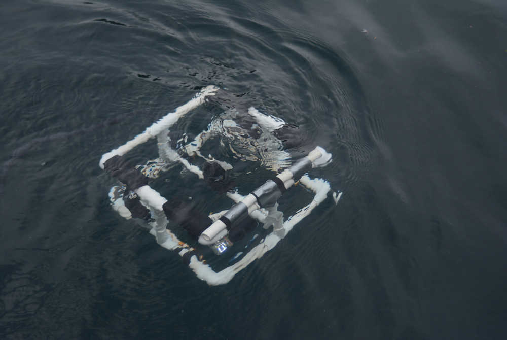 A remotely operated vehicle starts its dive during the Ocean Connections trip last Friday.
