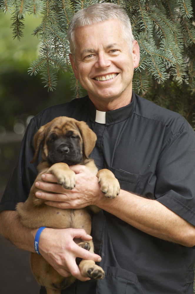 CORRECTS BREED TO MASTIFF, NOT BULL MASTIFF -  In this photo taken Tuesday, Aug. 4, 2015, Rev. Patrick Beretta holds Ysolt, his mastiff puppy, after she was rescued from a 30-foot-long drain pipe in Butte, Mont. (Kathleen J. Bryan/The Montana Standard via AP) MANDATORY CREDIT