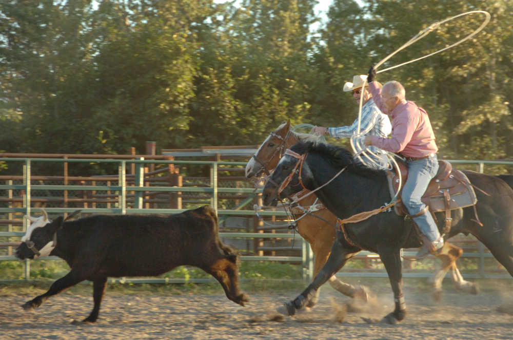 Ben Boettger/Peninsula Clarion David Bower (foreground, with laso) and Steve Cook chase down a calf during the calf-roping competition at the Kenai Peninsula State Fair on Friday, August 22.