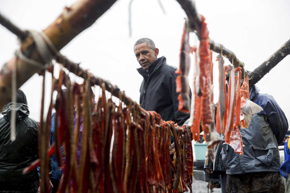 President Barack Obama looks at salmon being smoked while meeting with local fishermen and families on Kanakanak Beach, Wednesday, Sept. 2, 2015, in Dillingham, Alaska. Obama is on a historic three-day trip to Alaska aimed at showing solidarity with a state often overlooked by Washington, while using its glorious but changing landscape as an urgent call to action on climate change. (AP Photo/Andrew Harnik)