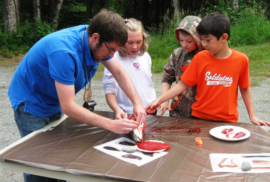 Ranger Jake dissects a salmon at one of his amazing summer camps for local kids at the Kenai National Wildlife Refuge. (Photo courtesy Kenai National Wildlife Refuge)