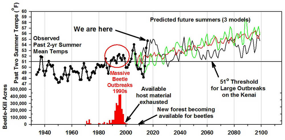 Global climate models from Germany (green), Canada (red) and USA (black) scaled to the Kenai predict that post-2030 mean summer temperatures will always be above the threshold for spruce bark beetle outbreaks.  Observed temperatures are from the Homer airport since 1932. Lower bar graph shows annual beetle-kill for southern Kenai since aerial surveys began in 1971 (US Forest Service). (Graphic by Ed Berg)