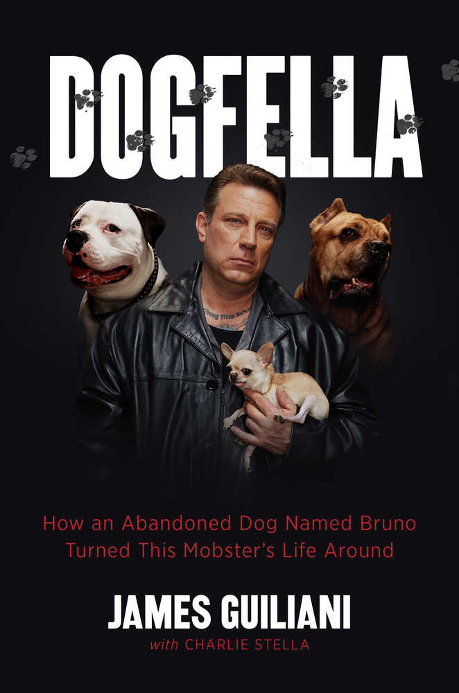 How dog turned his life around