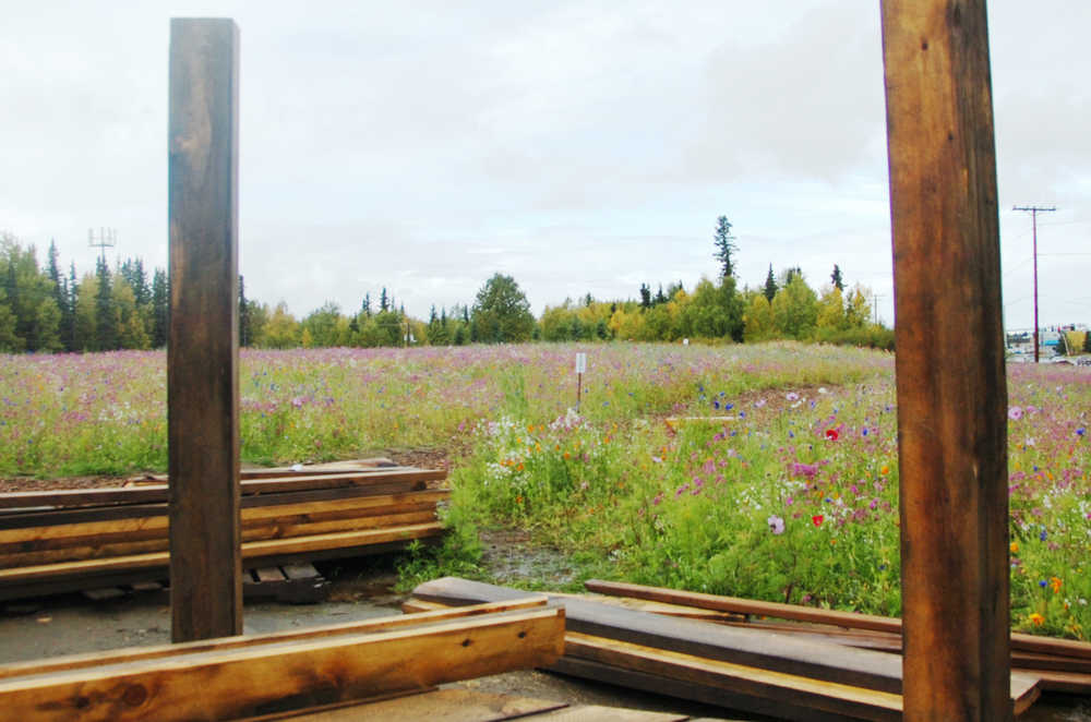 Ben Boettger/Peninsula Clarion Two of the recently knocked-over gazebo posts stand upright again on Wednesday, Sept. 16 in in Kenai's Field of Flowers.