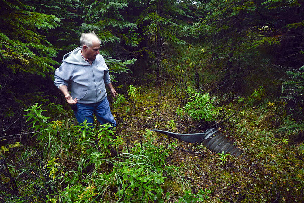 Photo by Rashah McChesney/Peninsula Clarion  Kalifornsky Beach Road resident Dan Sterchi on Friday Sept. 4, 2015  stands near a drainage pipe on a piece of land the borough is considering trading to a private property owner. Sterchi is adamantly opposed to the trade which he says could severely limit the borough's options for mitigating floods in the area.