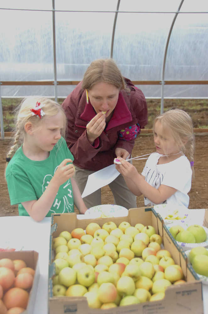 Photo by Megan Pacer/Peninsula Clarion Eva Abel (left) and her sister River Abel (right) sample apples with their mom, Holly Abel, on Sunday, Sept. 20, 2015 at O'Brien Garden and Trees in Nikiski, Alaska.