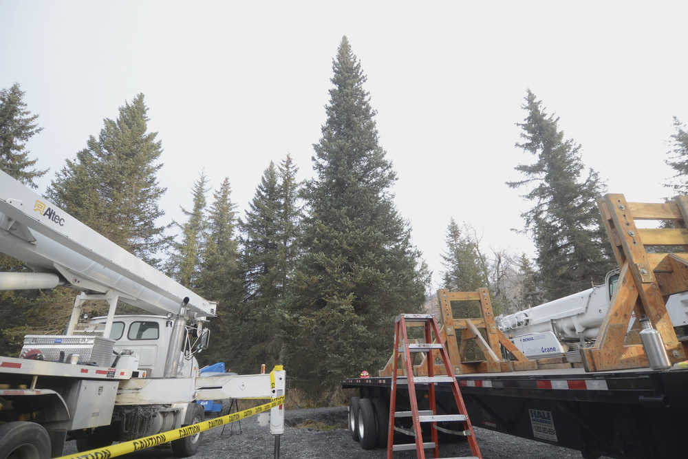 Photo by Megan Pacer/Peninsula Clarion A crew of U.S. Forest Service and Alaska Crane personnel listen to a safety briefing prior to the cutting down of the 2015 U.S. Capitol Christmas Tree on Tuesday, Oct. 27, 2015 in the Chugach National Forest near Seward, Alaska.