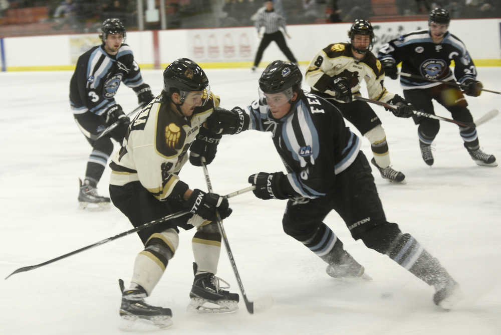 Ben Boettger/Peninsula Clarion Kenai Brown Bear Joey Sardina (left) challenges Brady Ferner of the Coulee River Chill for the puck at a game at the Soldotna Regional Sports Complex on Friday, Nov. 13.