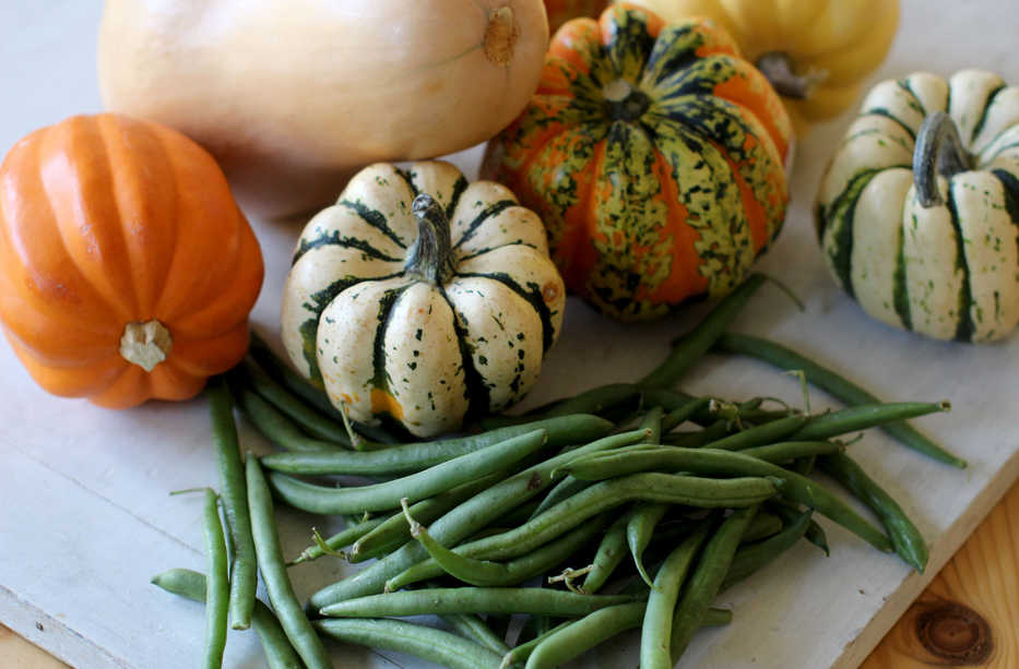 This Oct. 5, 2015 photo shows harvested vegetables in Concord, N.H. For food safety reasons, Thanksgiving leftovers should be cleared from the table and refrigerated within two hours of being served. Once refrigerated, they should be consumed within three to four days. Leftovers can be frozen for three to four months. (AP Photo/Matthew Mead)