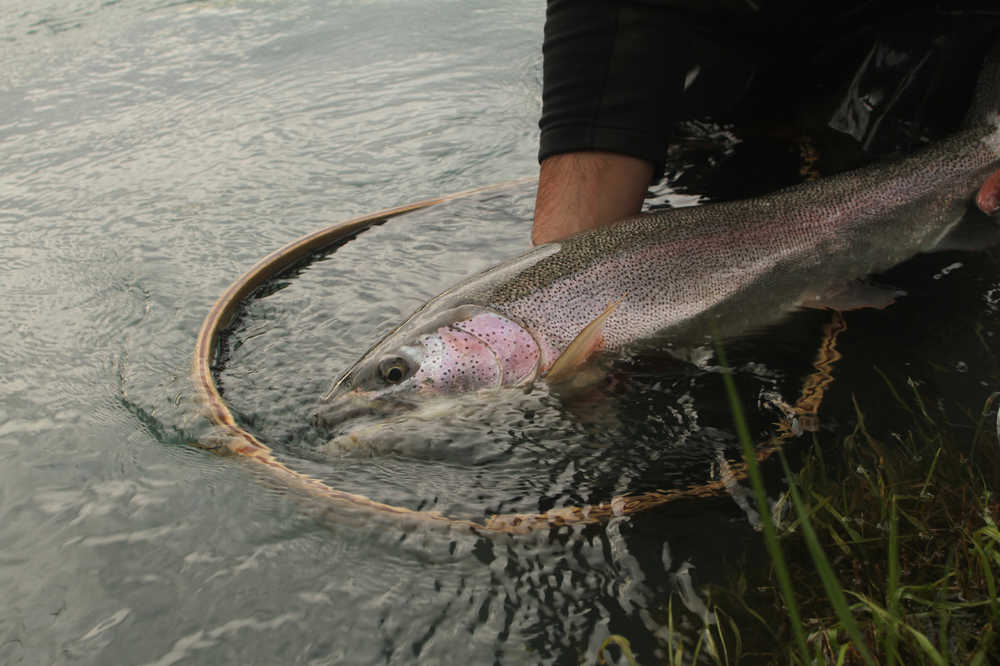 Photo courtesy Dave Atcheson Good fishing etiquette includes handling fish properly.