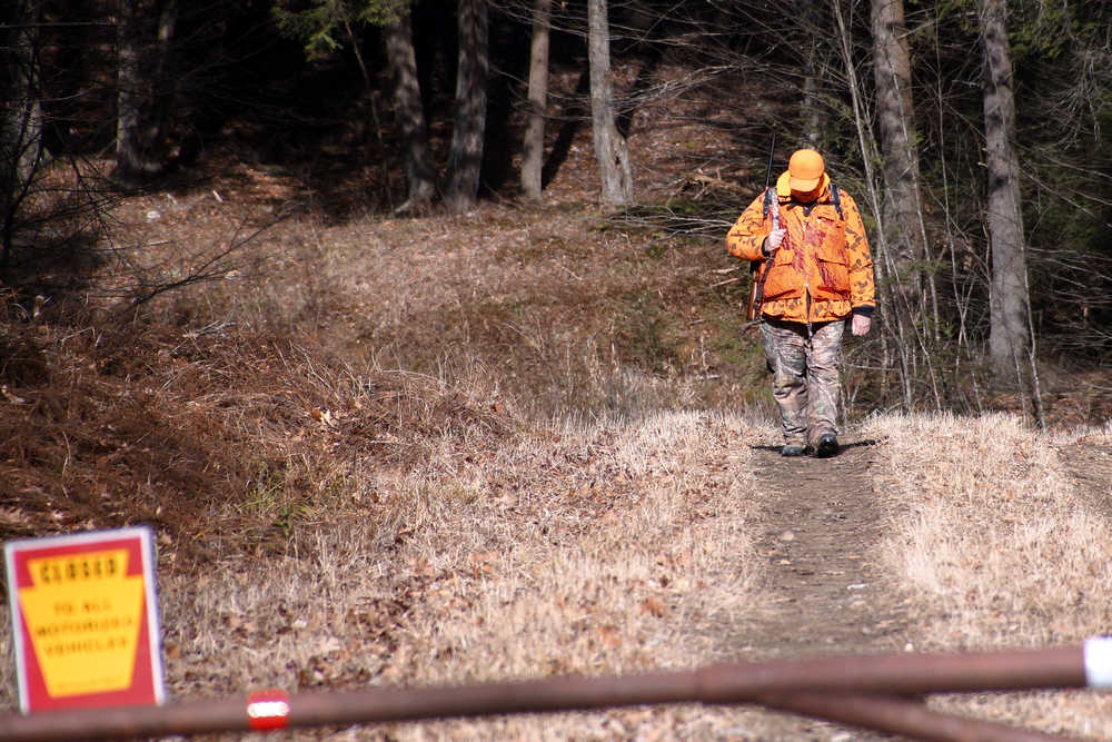 In this Nov. 23, 2015, photo, Bob Zimmerman from Greensburg, Pa. walks up one of the restricted roads at Pennsylvania state game lands 74 as he hunts bear in Fisher, Pa. This area of the state game land is one of the more than 30 "Deer Hunter Focus Areas" the Pennsylvania Game Commission created throughout the state in hopes they will draw more hunters to spots where they're likely to see more deer when rifle season opens Monday (Nov. 29). Meanwhile, game commission foresters are hoping hunters will kill enough deer to safeguard the rebounding forest vegetation meant to attract deer to the focus areas in the first place. Zimmerman, who was out hunting bear, but was also scouting for deer hunting sites, said he was glad the commission is spending some of the money from hunting license fees to help the hunters. (AP Photo/Keith Srakocic)