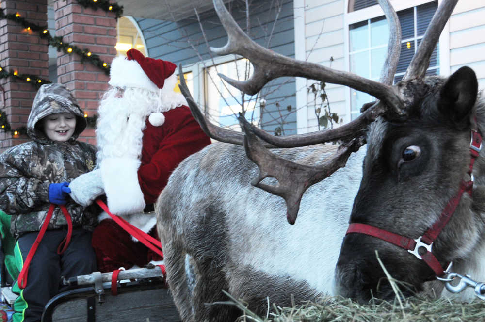 Ben Boettger/Peninsula Clarion Crash the reindeer nibbles on a hay bale while Tim Navarre (in red, with false beard) hands the reins of his sleigh to a visiting child outside Alaska First Insurance on Saturday, Dec. 5 in Soldotna.