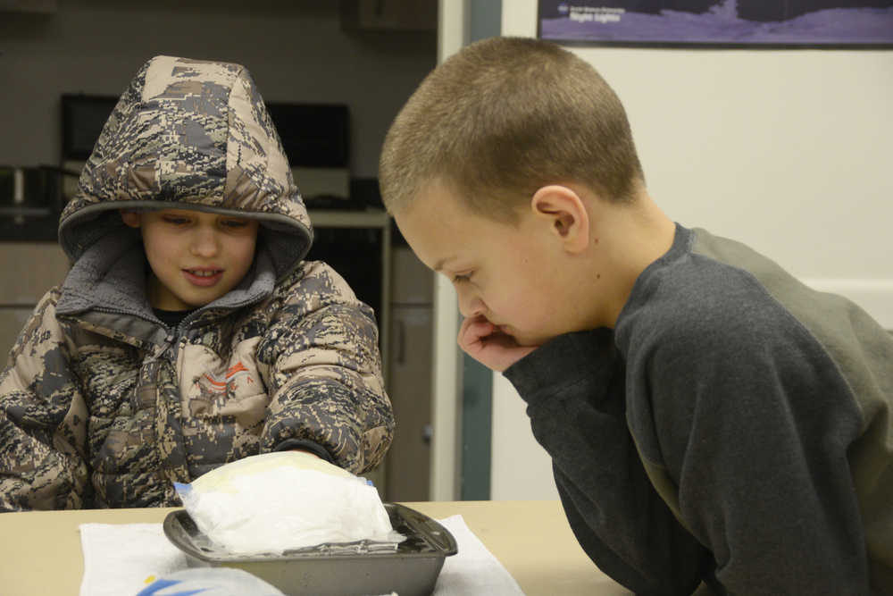 Photo by Megan Pacer/Peninsula Clarion Nine-year-old David Price, left, and his 10-year-old brother, Arther Price, experiment with Crisco in a plastic bag and a tray of cold water to learn about how marine animals keep warm on Tuesday, Dec. 8, 2015 at the Challenger Learning Center of Alaska in Kenai, Alaska. The boys participated in the center's STEAM Ahead Homeschool Program, taught by Director of Educational Operations Summer Lazenby.