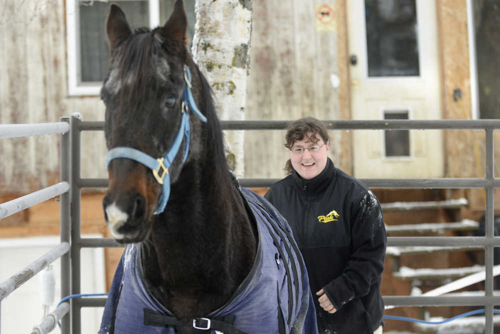 Kenai considers therapy horse in city