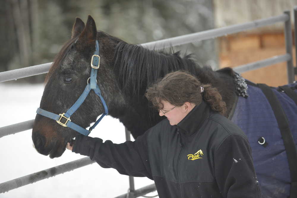 Ben Boettger/Peninsula Clarion Cristal Barton rubs the chin of her 35-year-old horse Major outside the house she shares with her mother Kim Garretson on Nov. 4, 2015 in Kenai. On Tuesday Garretson appealled the Kenai Planning and Zoning Commission's denial of her permit to keep Major on her property in exception to Kenai's livestock code. The Kenai City Council, acting as a board of adjustment, will issue a decision within 30 days.