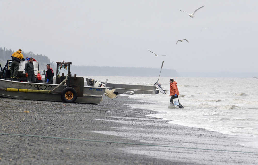 Photo by Rashah McChesney/Peninsula Clarion   In this July 9, 2014 file photo, commercial set gillnetters inthe Kenai and East Foreland sections of the east side setnet fishery in the Cook Inlet have their first opening of the season. A ballot initiative to ban setnetting in certain areas of the state - one that would have diproportionally affected Cook Inlet setnetters - has been ruled as unconstitutional by the Alaska Supreme Court.