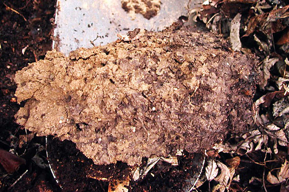 In this undated photo, large and small pores abound in this well-aggregated soil, offering roots access to both air and moisture in New Paltz, N.Y. (Lee Reich via AP)