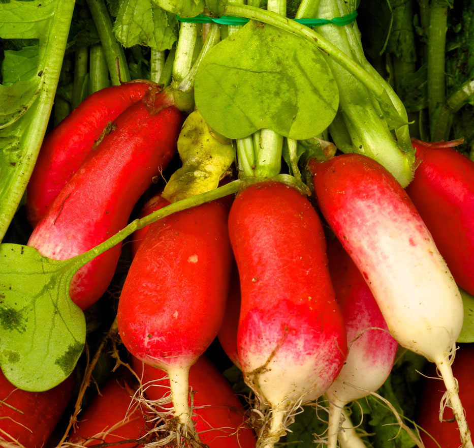 This May 25, 2013 photo shows French breakfast radishes at the Bayview Farmer's Market in Langley, Wash., that are typical of many edibles that are eaten raw. They need to be washed before serving to remove dirt and bacteria as well as any residual pesticides. (Dean Fosdick via AP)