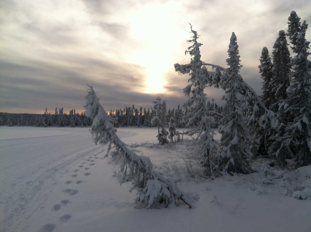 Photo by Jeff Helminiak/Peninsula Clarion The recent snowfall, plus the work of Bill Holt, maintenance manager for Tsalteshi Trails, had Headquarters Lake spruced up for skiing by Jan. 15.