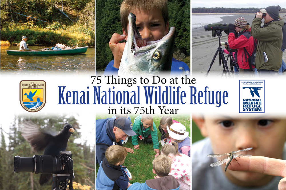2016 is the 75th birthday of the Kenai National Wildlife Refuge. For fun or as a challenge, complete the checklist of 75 things to do on the refuge this year.
