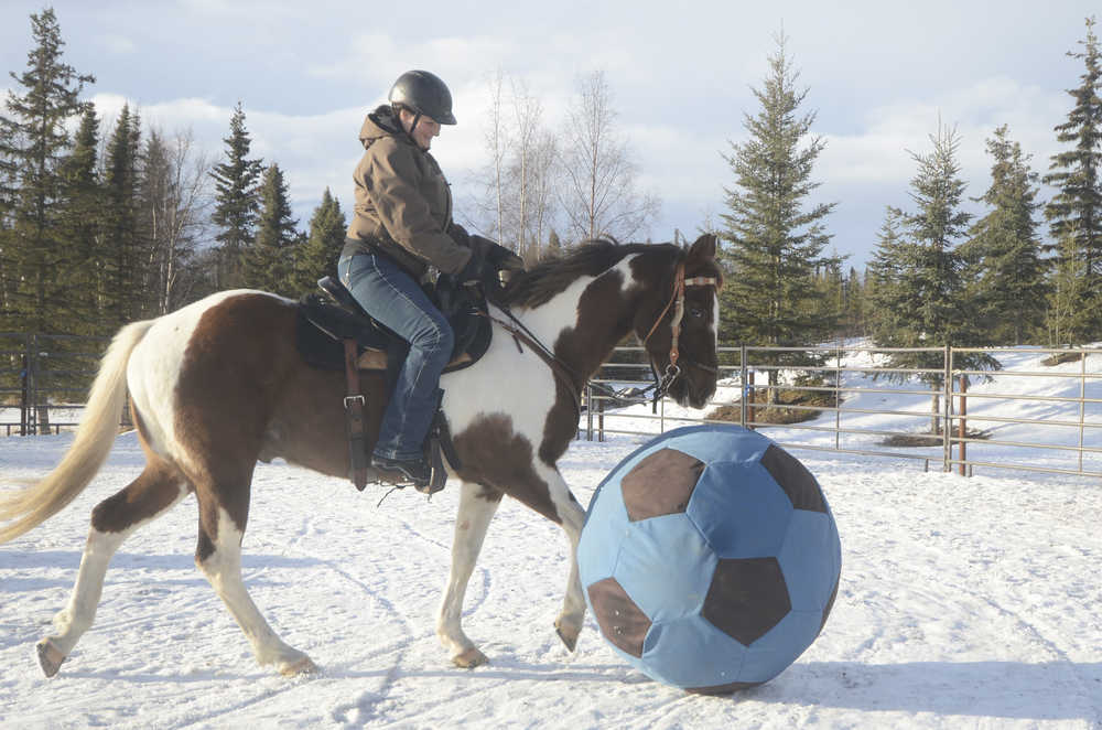 Photo by Megan Pacer/Peninsula Clarion Connie Green and her horse, Freestyle, play with a large soccer ball during an afternoon of fun and horse games on Monday, Feb. 8, 2016 at Alaska C&C Horse Adventures in Soldotna, Alaska.
