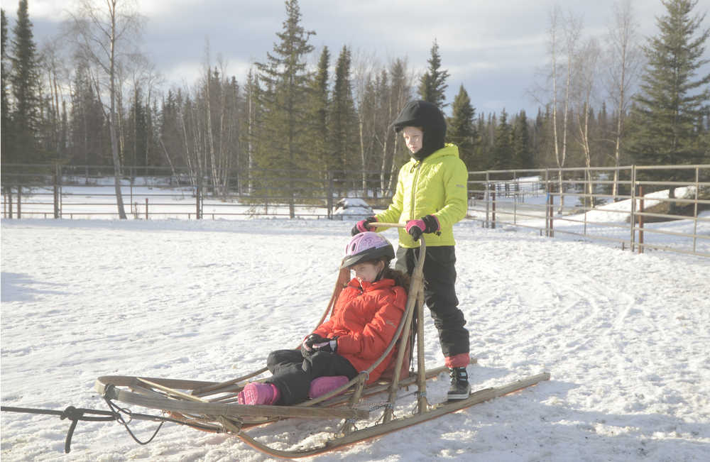 Photo by Megan Pacer/Peninsula Clarion Sophie Tapley relaxes in a sleigh while her older sister Mercedes Tapley rides along behind as they are pulled around an enclosure by a horse on Monday, Feb. 8, 2016 at Alaska C&C Horse Adventures in Soldotna, Alaska.