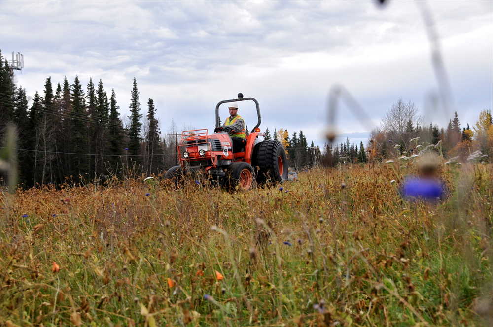 A crew from the Kenai Department of Parks & Recreation works to prepare the Field of Flowers for winter on Oct. 8, 2015. The parcel where the field is located along the Kenai Spur Highway is part of a rezoning plan that has drawn controversy.