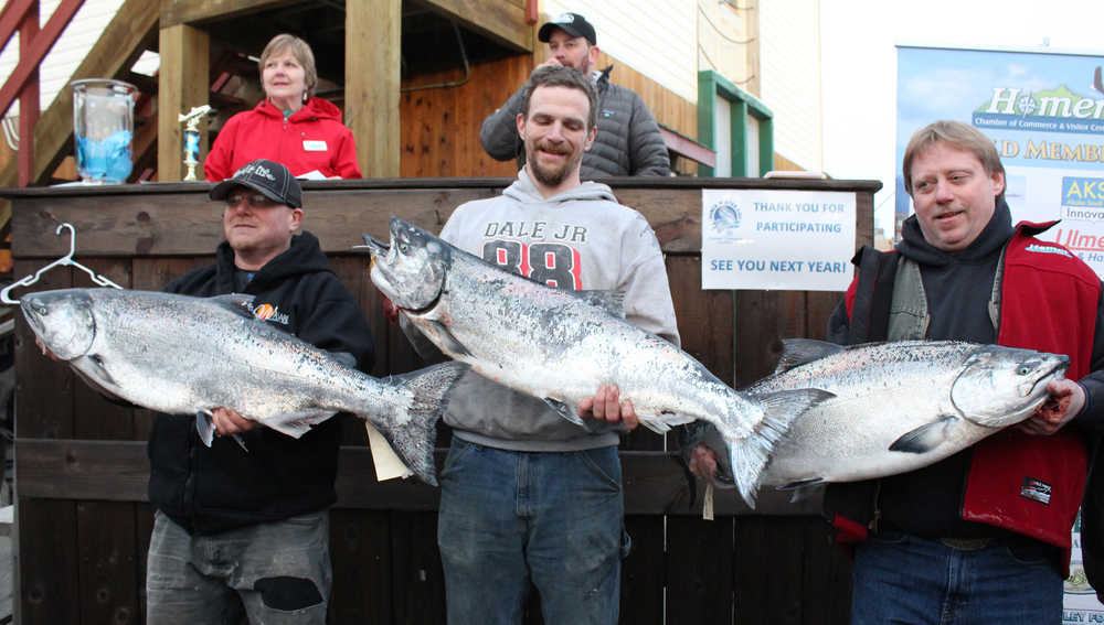 The top three winners in Homer's 23rd Annual Winter King Salmon Tournament show off their fish to the crowd. (Left to right) Colt Belmonte placed third for a 24.8 pound king, winning $16,588; Kelly Grose won $21,112 for his 25.25 pound king and Eric Holland took first place with his 26.45 pound king. Holland's prize of $31,668 was more than the 2015 tournament's first place prize. All the anglers are Homer residents. (Photo by Anna Frost, Homer News)