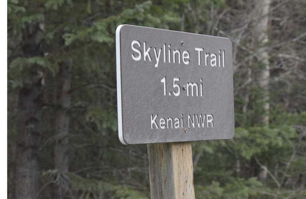 Photo by Joey Klecka/Peninsula Clarion The sign denoting the start of the rugged Skyline trail stands just a few feet off the edge of the Sterling Highway.