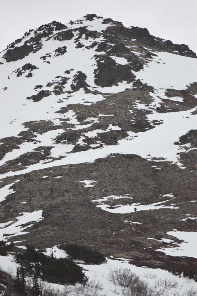Photo by Joey Klecka/Peninsula Clarion A hiker (bottom right) descends the snowy, rocky traverse on the upper slopes of Skyline peak on April 1.