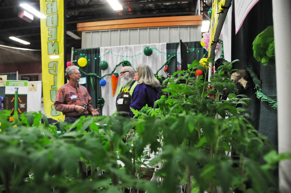 Photo by Elizabeth Earl/Peninsula Clarion Tomato plants from the Kenai Peninsula Garden Club greeted visitors to the club's booth at the 37th Annual Home Show at the Soldotna Sports Complex on Saturday, April 9, 2016. The show, which features more than 100 exhibitors, will run from 11 a.m. to 5 p.m. Sunday, with a $5 admission fee for adults.